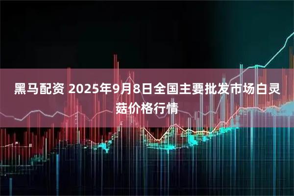 黑马配资 2025年9月8日全国主要批发市场白灵菇价格行情