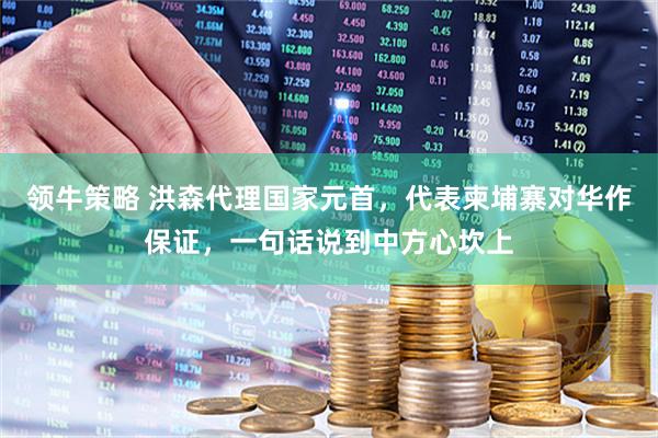 领牛策略 洪森代理国家元首，代表柬埔寨对华作保证，一句话说到中方心坎上